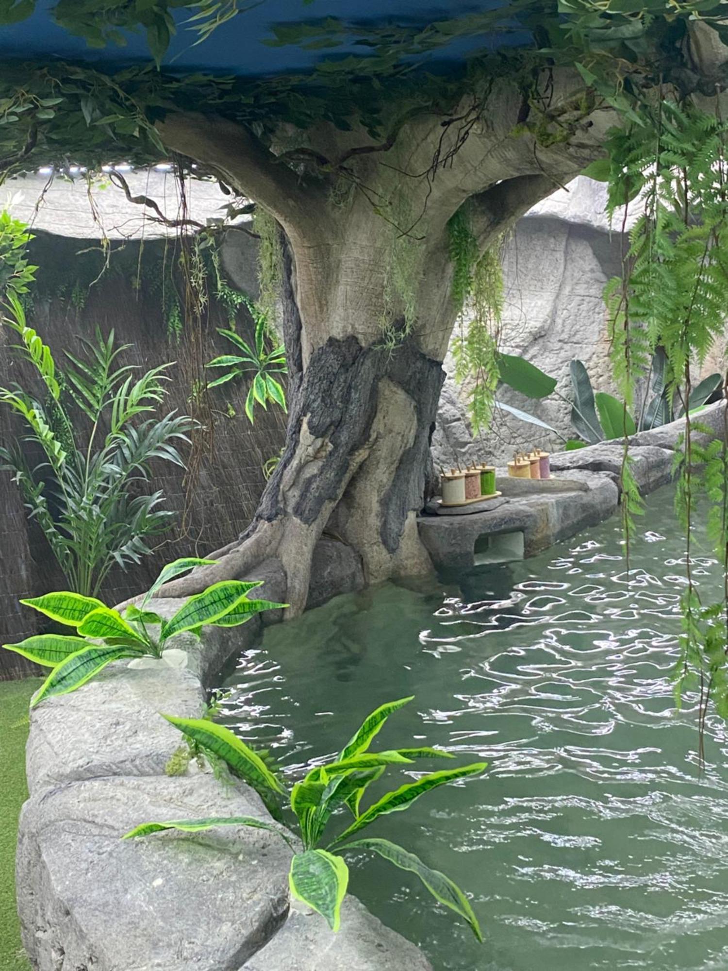 Futurotel Space Spa Garden กรานาดา ภายนอก รูปภาพ